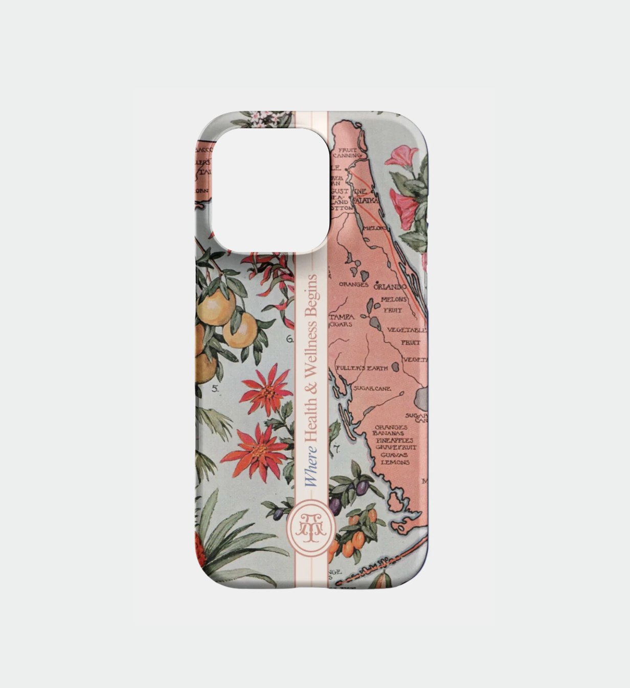 Where Health Begins iPhone Case