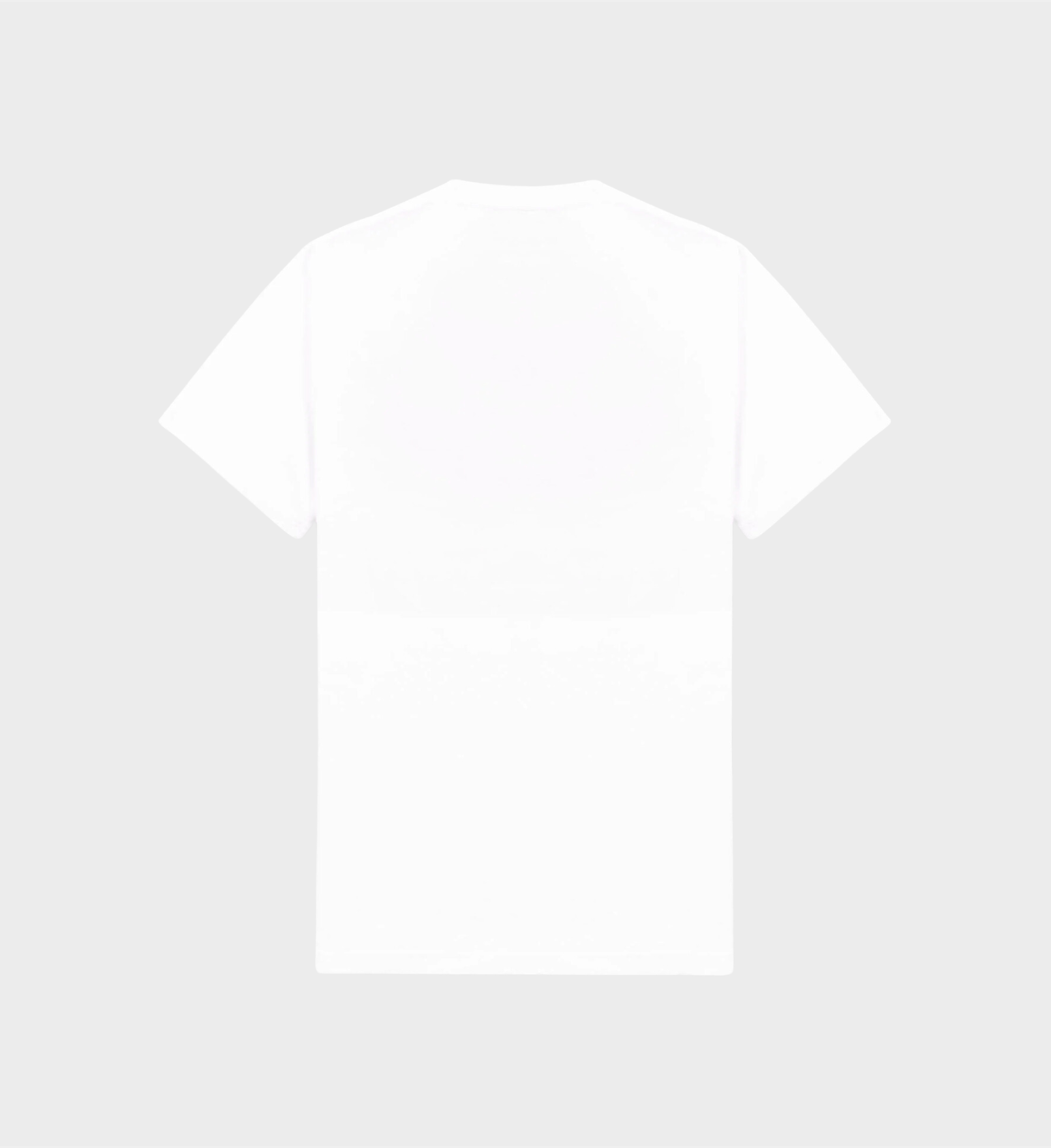 Minimalist Regular fit T-Shirt White